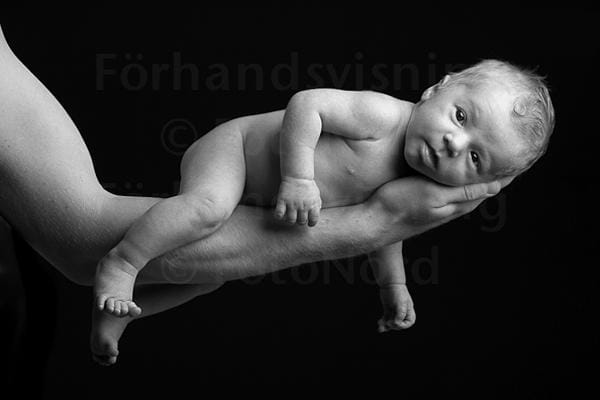baby23f2f